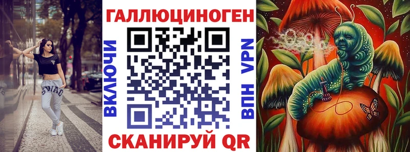 OMG сайт  Кологрив  Псилоцибиновые грибы GOLDEN TEACHER 