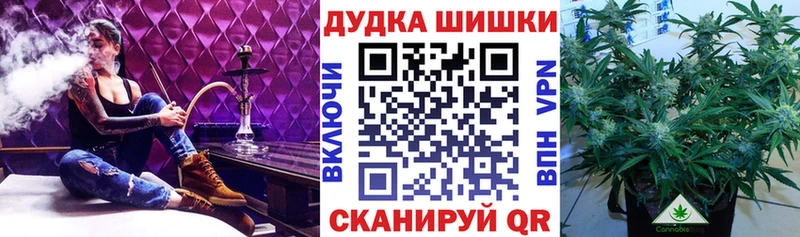 это телеграм  ОМГ ОМГ ТОР  Кологрив  Бошки Шишки план 